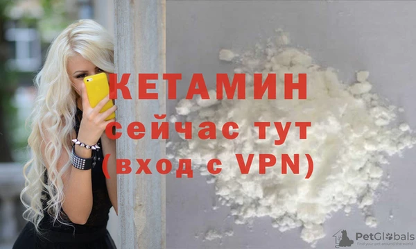 крисы Каменка