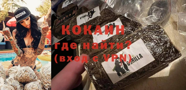 крисы Каменка