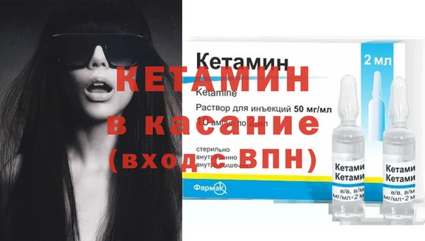 крисы Каменка