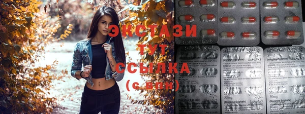 крисы Каменка