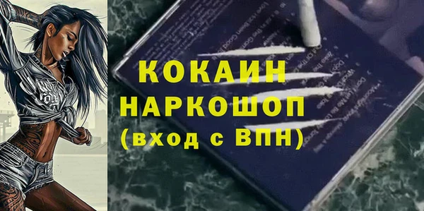 крисы Каменка