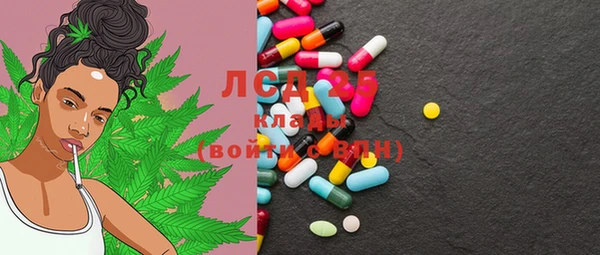 крисы Каменка