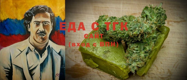 крисы Каменка