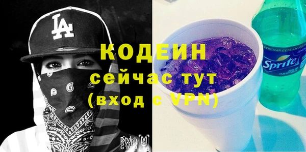 крисы Каменка