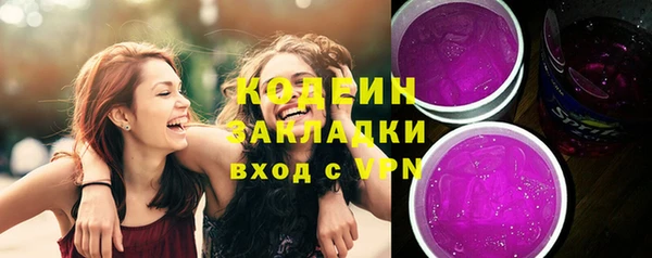 крисы Каменка