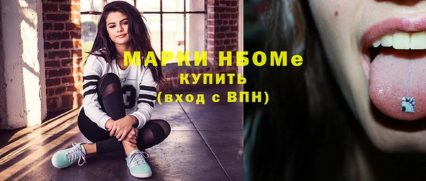 крисы Каменка