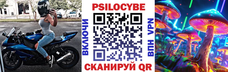 Купить закладки  Пласт  Псилоцибиновые грибы прущие грибы 